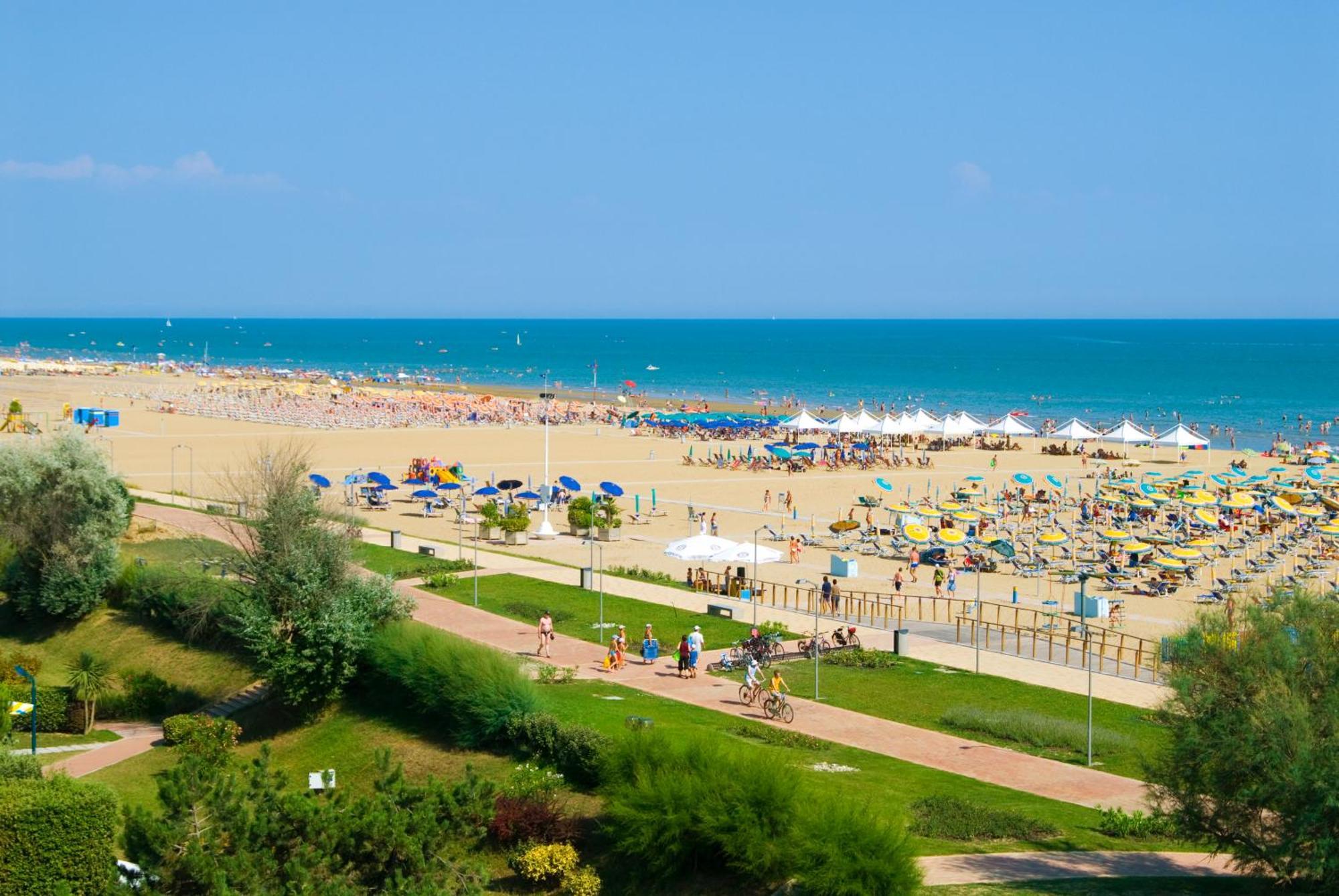 Gimm Bibione